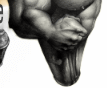 Bodybuilding Homepage il Forum del bodybuilding e del fitness
