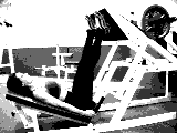ExRx On Line