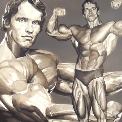 Immagini degli esercizi in palestra
