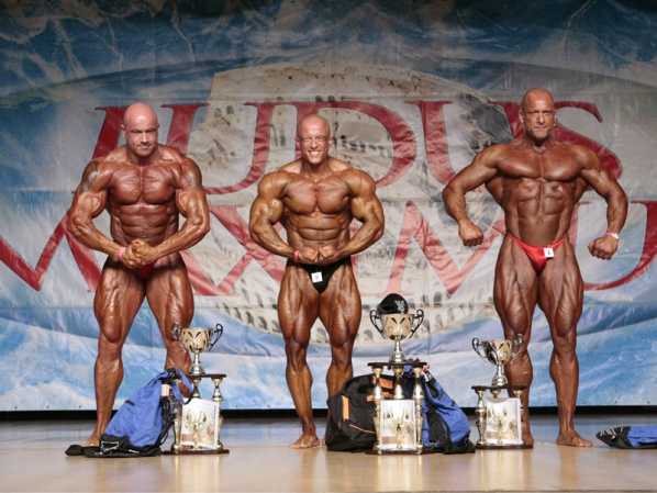 IFBB Ludus Maximus