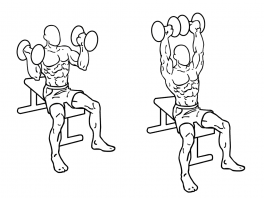 arnold-press