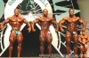 Alves_-_Anthony_-_Levrone.jpg