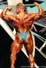 Jay_Cutler_-_Back_2.jpg