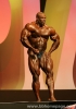 Ronnie_Coleman_13_.jpg