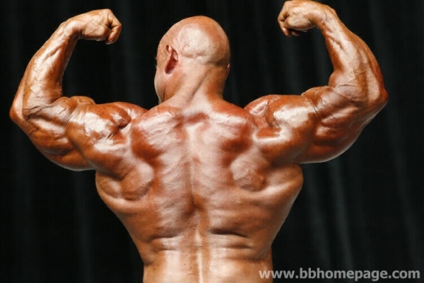 Branch Warren al Mr Olympia 2006