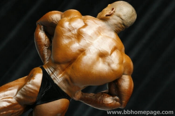 David Henry al Mr Olympia 2006