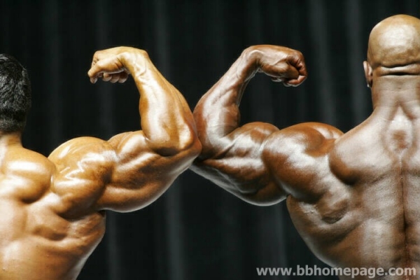 Confronti al Mr Olympia 2006