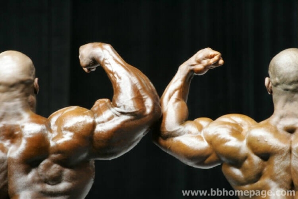 Confronti al Mr Olympia 2006