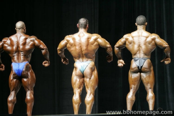 Confronti al Mr Olympia 2006