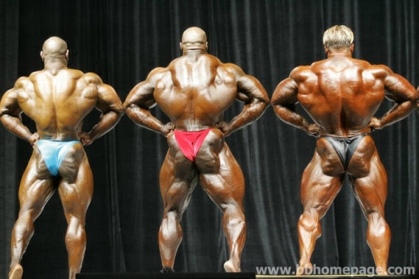 Confronti al Mr Olympia 2006