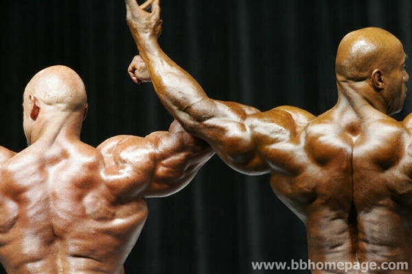 Confronti al Mr Olympia 2006