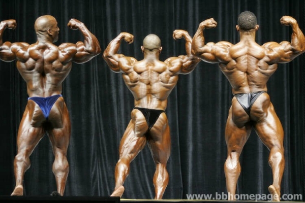 Confronti al Mr Olympia 2006