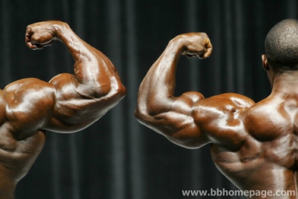 Confronti al Mr Olympia 2006