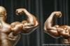 mr-olympia-2006-confronti_100_.jpg