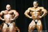 mr-olympia-2006-confronti_101_.jpg