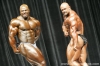 mr-olympia-2006-confronti_106_.jpg