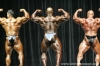 mr-olympia-2006-confronti_107_.jpg