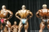 mr-olympia-2006-confronti_112_.jpg