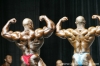 mr-olympia-2006-confronti_114_.jpg