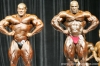 mr-olympia-2006-confronti_12_.jpg