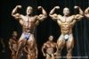 mr-olympia-2006-confronti_13_.jpg