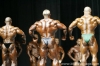 mr-olympia-2006-confronti_19_.jpg