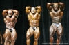 mr-olympia-2006-confronti_1_.jpg