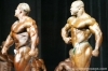 mr-olympia-2006-confronti_21_.jpg