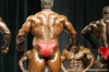 mr-olympia-2006-confronti_24_.jpg