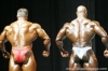 mr-olympia-2006-confronti_26_.jpg