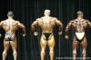 mr-olympia-2006-confronti_32_.jpg