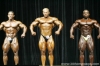 mr-olympia-2006-confronti_34_.jpg