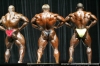 mr-olympia-2006-confronti_44_.jpg