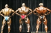 mr-olympia-2006-confronti_45_.jpg