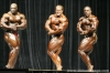 mr-olympia-2006-confronti_48_.jpg