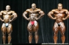 mr-olympia-2006-confronti_49_.jpg