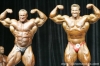 mr-olympia-2006-confronti_4_.jpg