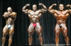 mr-olympia-2006-confronti_50_.jpg