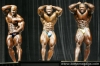 mr-olympia-2006-confronti_54_.jpg