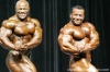 mr-olympia-2006-confronti_64_.jpg