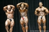 mr-olympia-2006-confronti_69_.jpg