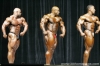 mr-olympia-2006-confronti_77_.jpg