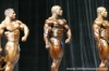 mr-olympia-2006-confronti_84_.jpg