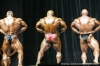 mr-olympia-2006-confronti_88_.jpg