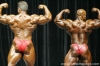 mr-olympia-2006-confronti_96_.jpg