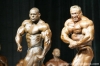 mr-olympia-2006-confronti_97_.jpg