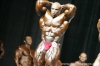 ronnie-coleman_16_1.jpg