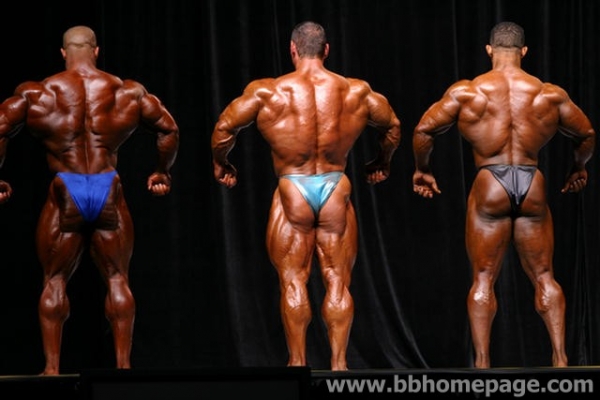 Mr Olympia 2006