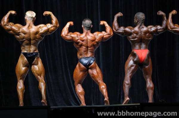 Mr Olympia 2006