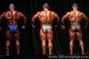 mr-olympia-2006_2_.jpg